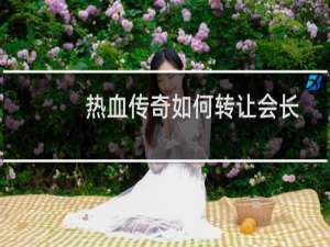 热血传奇如何转让会长