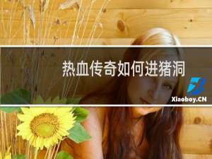 热血传奇如何进猪洞
