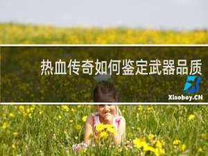热血传奇如何鉴定武器品质