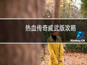 热血传奇威武版攻略