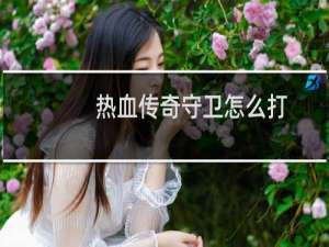 热血传奇守卫怎么打