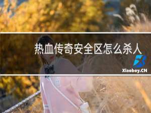 热血传奇安全区怎么杀人