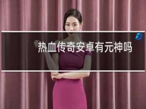 热血传奇安卓有元神吗