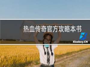 热血传奇官方攻略本书