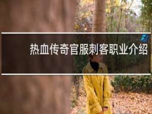 热血传奇官服刺客职业介绍