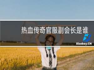 热血传奇官服副会长是谁