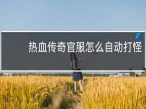 热血传奇官服怎么自动打怪