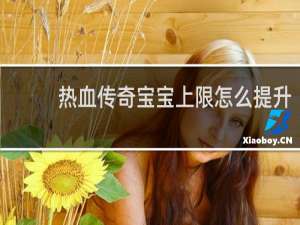 热血传奇宝宝上限怎么提升