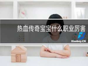 热血传奇宝宝什么职业厉害