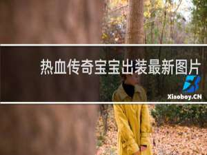 热血传奇宝宝出装最新图片