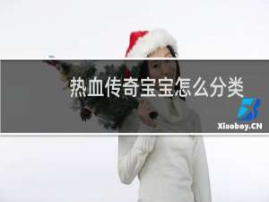 热血传奇宝宝怎么分类