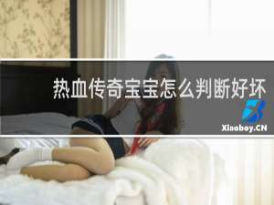 热血传奇宝宝怎么判断好坏