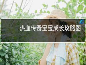 热血传奇宝宝成长攻略图