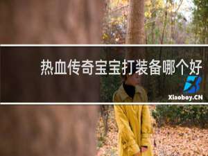 热血传奇宝宝打装备哪个好