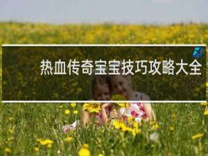 热血传奇宝宝技巧攻略大全