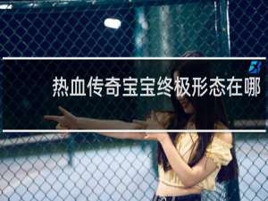 热血传奇宝宝终极形态在哪