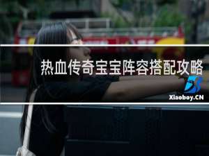 热血传奇宝宝阵容搭配攻略