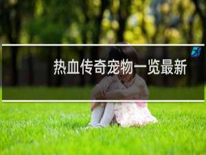 热血传奇宠物一览最新