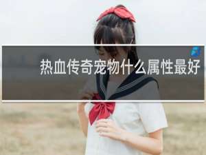 热血传奇宠物什么属性最好