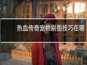 热血传奇宠物刷图技巧在哪