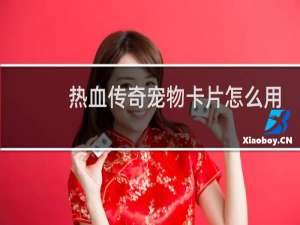 热血传奇宠物卡片怎么用