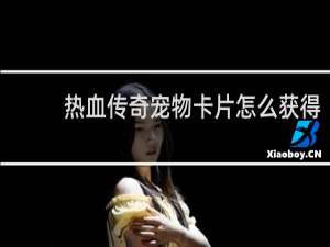 热血传奇宠物卡片怎么获得