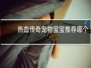 热血传奇宠物宝宝推荐哪个