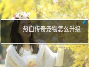 热血传奇宠物怎么升级