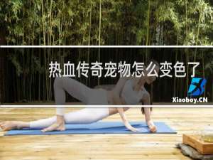 热血传奇宠物怎么变色了