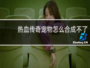 热血传奇宠物怎么合成不了