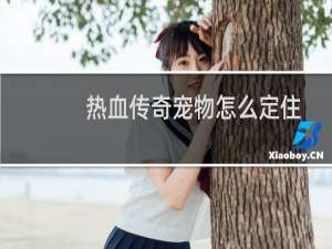 热血传奇宠物怎么定住