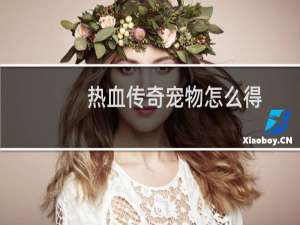 热血传奇宠物怎么得