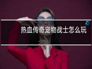 热血传奇宠物战士怎么玩