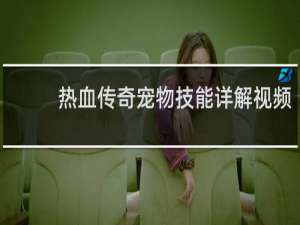 热血传奇宠物技能详解视频