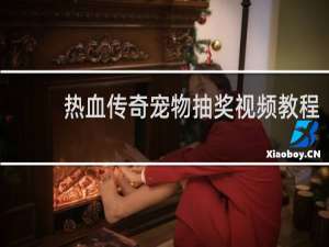 热血传奇宠物抽奖视频教程