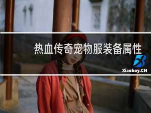 热血传奇宠物服装备属性
