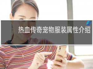 热血传奇宠物服装属性介绍