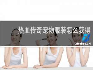 热血传奇宠物服装怎么获得