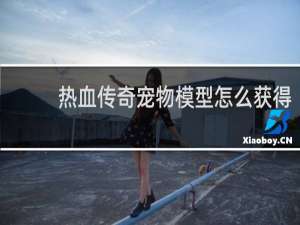 热血传奇宠物模型怎么获得