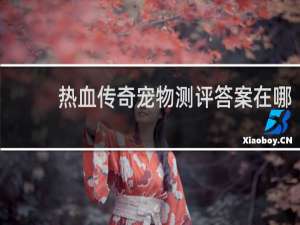 热血传奇宠物测评答案在哪