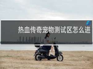热血传奇宠物测试区怎么进