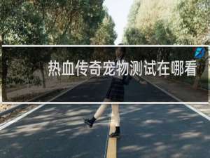 热血传奇宠物测试在哪看