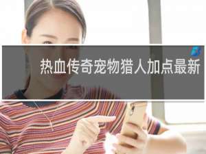 热血传奇宠物猎人加点最新