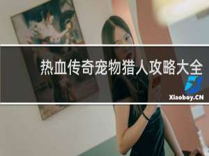 热血传奇宠物猎人攻略大全