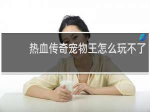 热血传奇宠物王怎么玩不了