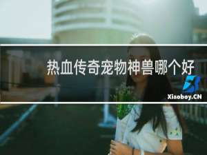 热血传奇宠物神兽哪个好