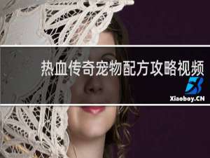 热血传奇宠物配方攻略视频