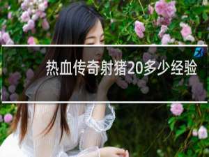 热血传奇射猪 多少经验