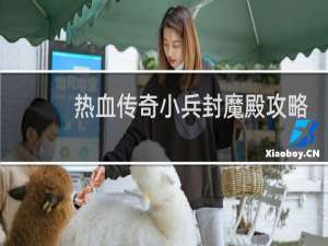 热血传奇小兵封魔殿攻略