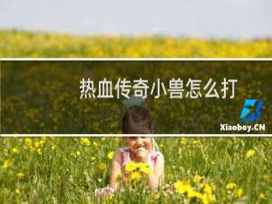 热血传奇小兽怎么打